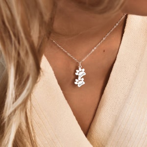 May include: Silver necklace with a double paw print charm. The charm is engraved with the names "Emily" and "Bear".