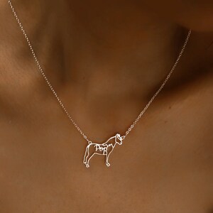 May include: A silver chain necklace with a horse silhouette pendant. The horse is outlined and the word "Pop" is written inside the outline.