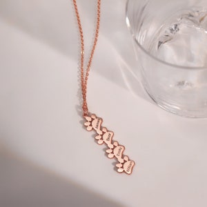 May include: Rose gold necklace with a chain and a pendant of five paw prints with names engraved on each: James, Bear, Emily, William.