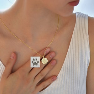 May include: A gold chain necklace with a round pendant featuring a paw print. The pendant is textured and has a slightly irregular shape.