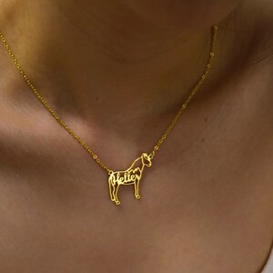 May include: A gold necklace with a horse pendant. The horse is made of metal and the name "Heller" is spelled out within the outline of the horse.