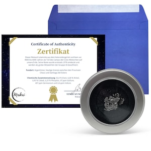 Può includere: Un esemplare di meteorite metallico scuro, racchiuso in un espositore rotondo color argento. È visibile un certificato di autenticità, insieme a una busta blu. Il certificato include testo in tedesco.