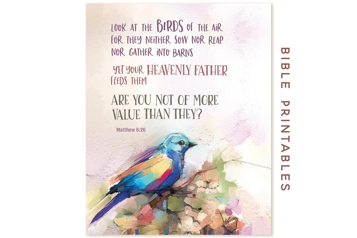 Look at the birds of the air bible printable scripture image christian