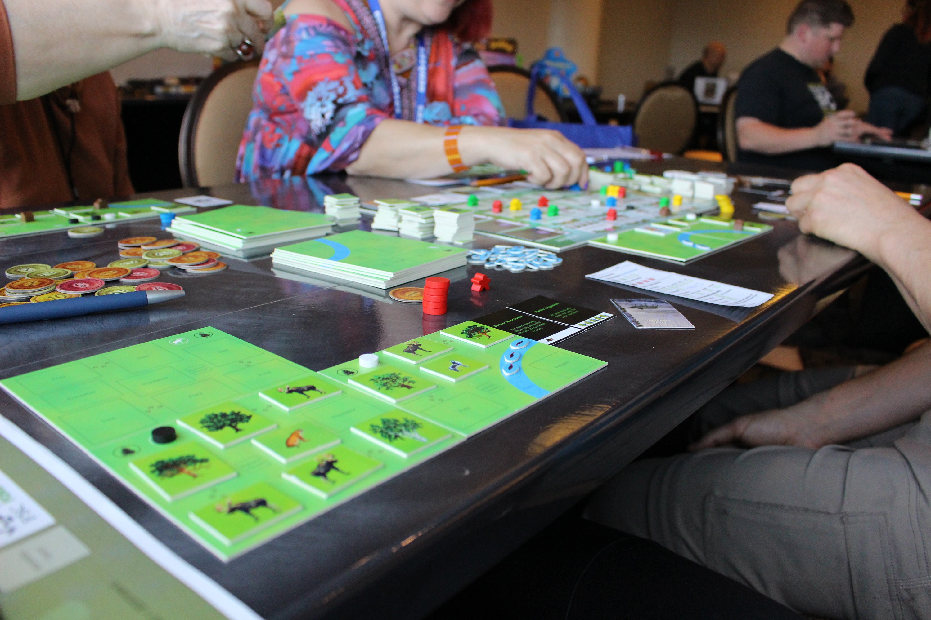Forestation Board Game Use Strategy and Cunning to Build a Forest Full