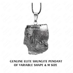 Elite Noble Shungite Necklace - Medium size - Authentic Karelian Rock Type 1 - Carbon 98% - Fullerene Pendant - Silver Rare Stone