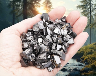 Elite Shungite Water purification - 100 gr | Silver Shungite stones smooth surface | Fullerene c60 | Shungite Rock | Elite Shungite Crystal