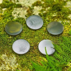 May include: Five round, dark gray stones arranged in a circular pattern on a bed of green moss and ferns. The stones have a smooth, polished appearance, with subtle variations in color and texture. The natural setting enhances the stones' earthy aesthetic.