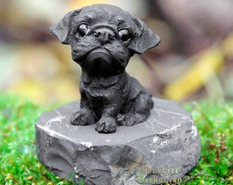 Pug dog | Pug puppies | Shungite statuette for home | Black pug dog | Cute pugs | Cute pug dog | miniature pug | Black pugs carved of stone