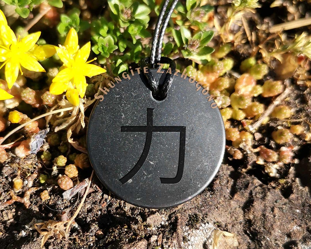 Chinese Protection Sign Shields of Strength Necklace – Chinese Strength Symbol Pendant ...