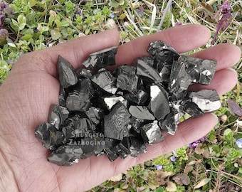 Elite Shungite Water purification - 100 gr | Silver Shungite stones smooth surface | Fullerene c60 | Shungite Rock | Elite Shungite Crystal