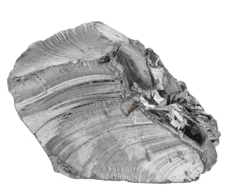 May include: A large, dark gray, rough, and jagged piece of Shungite stone. The stone has a striated pattern and is labeled "Shungite Zazhogino".