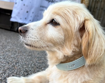 Monogram Vegan Leather Dog Collar, Personalised Pet Name, Custom Dog Accessories