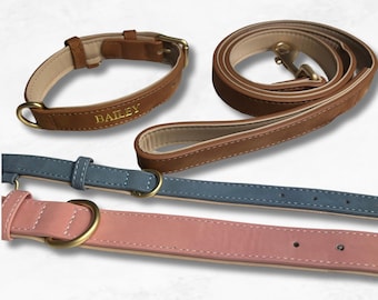Personalisiertes Veganes Wildleder Hundehalsband & Leinen Set - Gold Hardwares