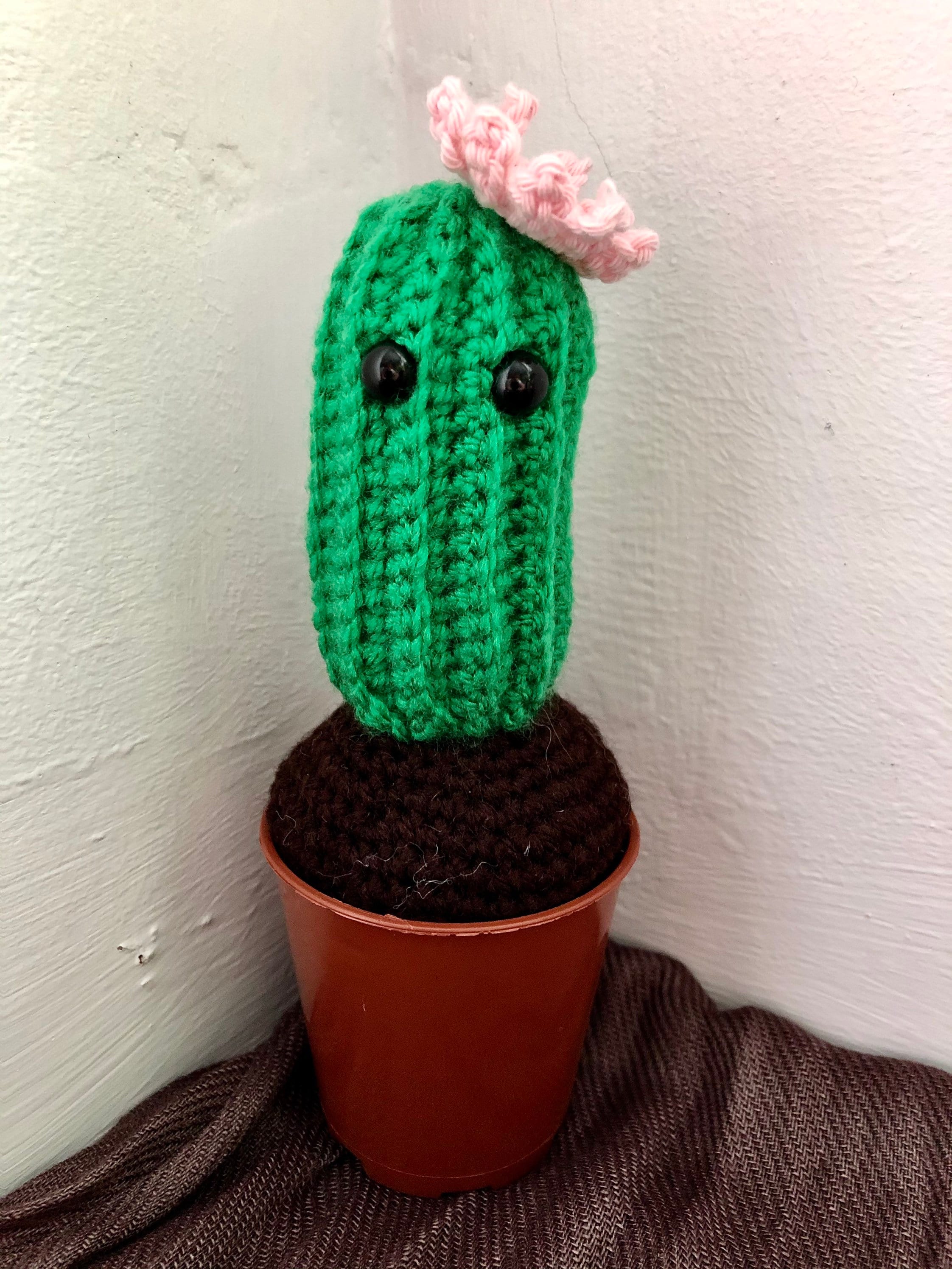 Crochet Cactus With Flower Etsy UK