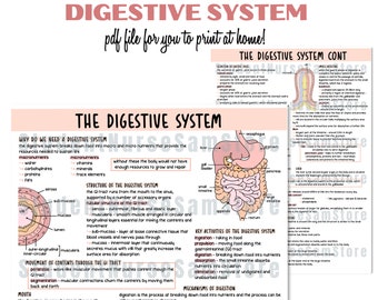 DIGITAL FILE - The Digestive System | Revision Notes | Anatomy & Physiology Notes | Study Guide