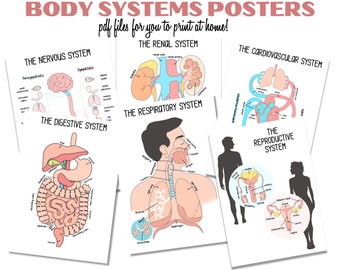 PDF - Body System Posters | Nursing Student | Anatomy Posters