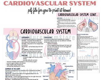 DIGITALE DATEI - Das Herz-Kreislauf-System | Versionshinweise | Anatomie & Physiologie Notizen | Studienführer