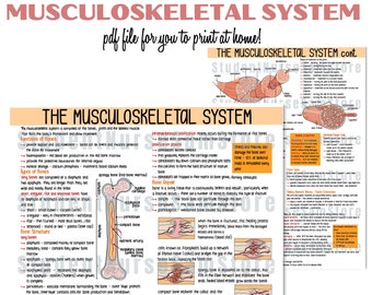 DIGITAL FILE - The Musculoskeletal System | Revision Notes | Anatomy & Physiology Notes | Study Guide