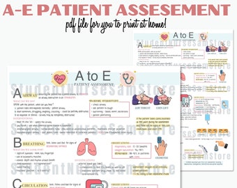 PDF - A-E Patient Assessment | Revision Notes | Nursing Student