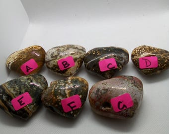 OCEAN JASPER HEARTS