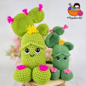 Cactus Wiwi Pattern Modifications