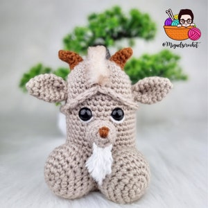 Goat Wiwi Pattern Modifications