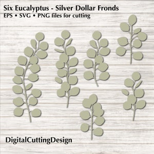 May include: Six digital cutting files of eucalyptus leaves in a light green color. The files are for cutting machines and are available in EPS, SVG, and PNG formats.