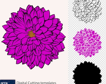 Dalia - Flor de zinnia - Archivos de corte vectoriales redimensionables, impresión por sublimación, SVG EPS PNG