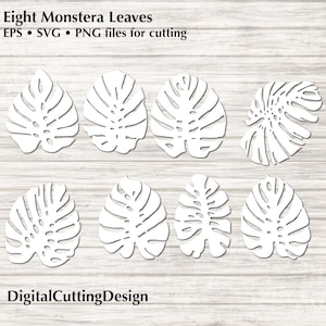Fichier de découpe : modèles de feuille de Monstera pour machines de découpe Cricut et Silhouette - fichiers de découpe redimensionnables vectoriels, SVG EPS PNG