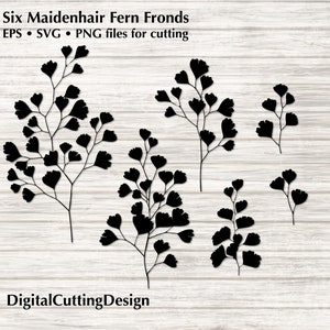 Snijbestand: haarmos varenbladeren -6 bladeren - Cricut, silhouet enz. Snijmachines - aanpasbare vectorsnijbestanden, SVG EPS, PNG
