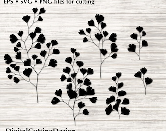 Maidenhair Fern Fronds Cutting File: SVG EPS PNG Vector (Digital Download)