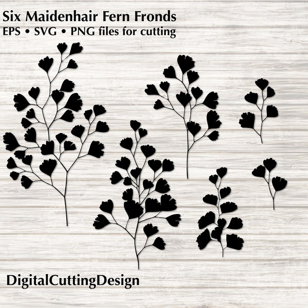 Cutting File: Maidenhair Fern Fronds -6 fronds - Cricut, Silhouette etc Cutting Machines - resizable vector cutting files, SVG EPS PNG