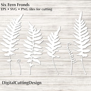 Fichier de découpe : modèles de feuilles de fougère pour machines de découpe Cricut et Silhouette - fichiers de découpe redimensionnables vectoriels, SVG EPS PNG