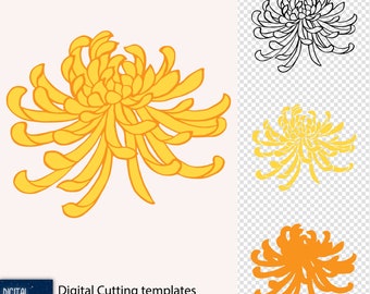 Crisantemo n.° 1 - archivos de corte vectoriales redimensionables - Svg, Eps, Png