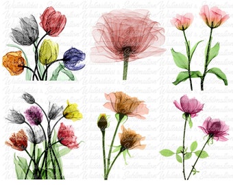 Download X Ray Flowers Etsy