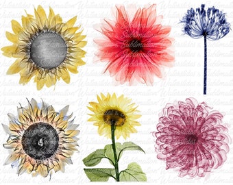 Free Free 291 X Ray Flower Svg SVG PNG EPS DXF File
