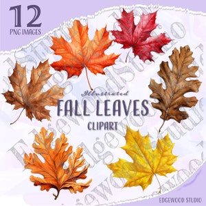 Fallen Leaves Clipart, Autumn Leaves, Fall Decor, PNG