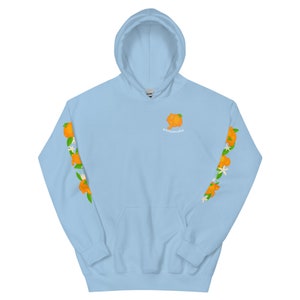 Orange Frog Hoodie