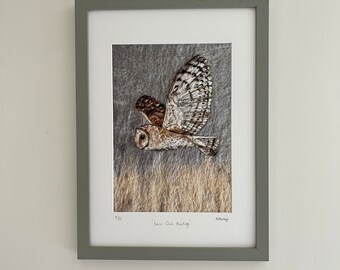 Barn Owl Hunting