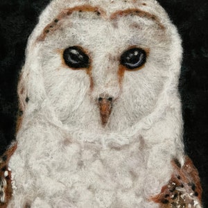 Barn Owl