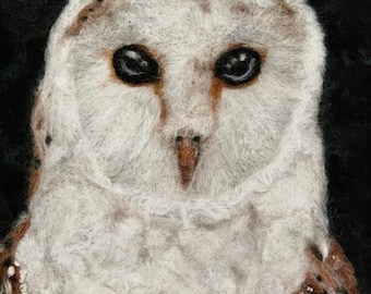 Barn Owl