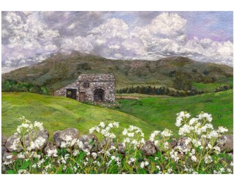 Wensleydale Cow Parsley