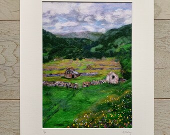 Summer Meadows