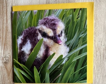 Art Card Little Duckling