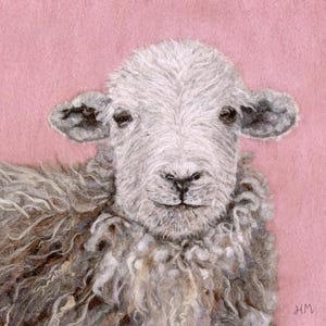 Puede incluir: Un primer plano de una oveja blanca con un pelaje gris y esponjoso. La oveja tiene una expresión dulce y mira directamente al espectador. El fondo es de color rosa suave.