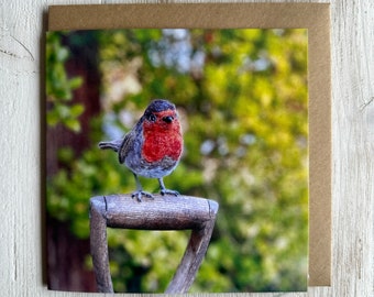Art Card Robin Red Breast