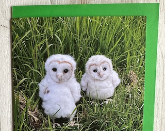 Art Card Barn Owlets