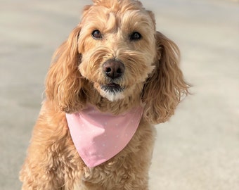 Spring Dog Bandana - Easter Dog Bandana - Flowers - Easter Dog Scarf - Spring Dog Scarf - Dog Scarf - Dog Bandana