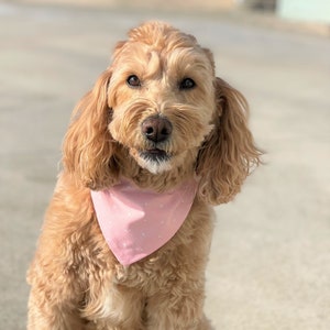 Spring Dog Bandana - Easter Dog Bandana - Flowers - Easter Dog Scarf - Spring Dog Scarf - Dog Scarf - Dog Bandana