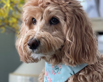 Spring Dog Bandana - Easter Dog Bandana - Over the Collar Dog Bandana - Easter Bunnies - Flowers - Easter Dog Scarf - Spring Dog Scarf